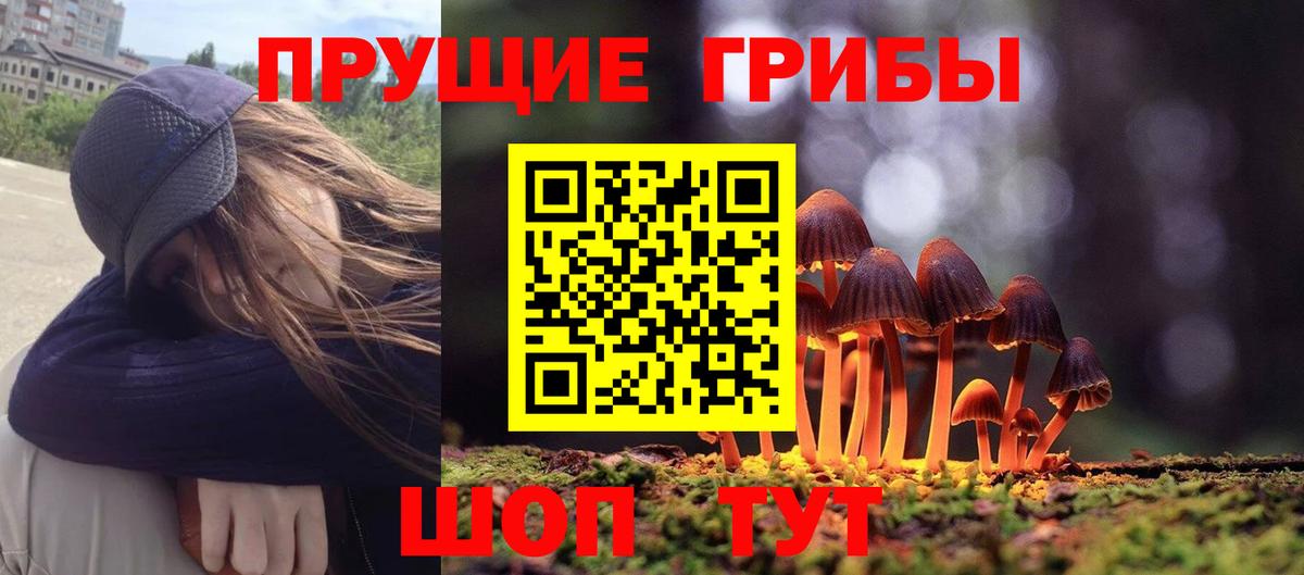 Галлюциногенные грибы прущие грибы  Вход с VPN  Подольск 
